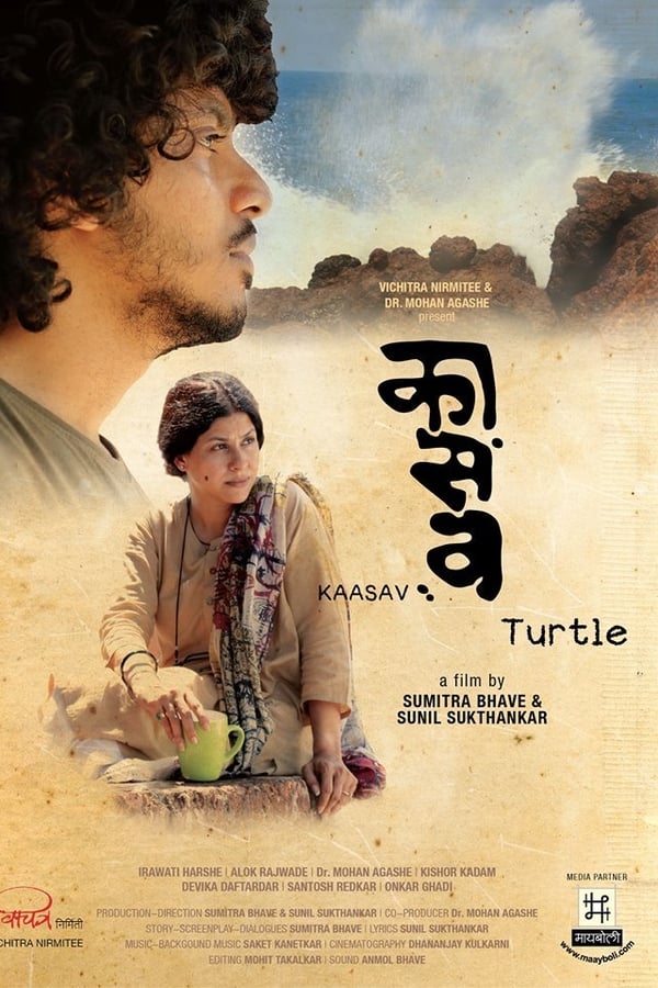 Cover of the movie Turtle