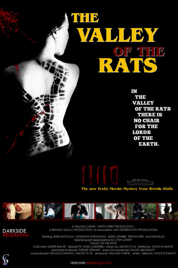 Cover of the movie Valley of the Rats