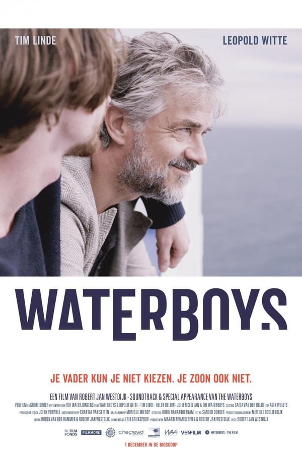 Cover of the movie Waterboys