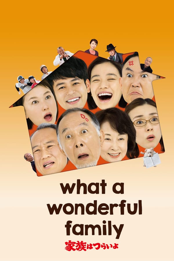 Cover of the movie What a Wonderful Family!