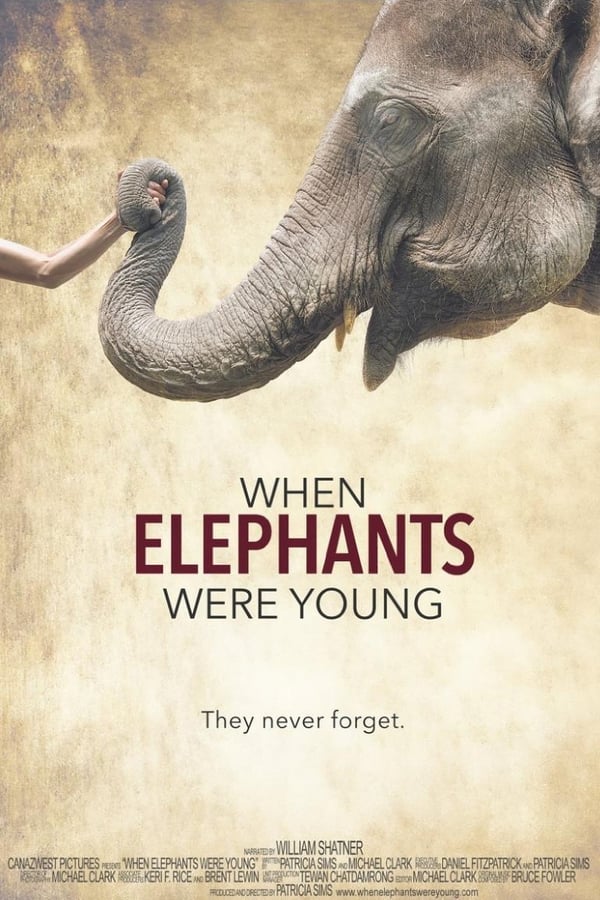 Cover of the movie When Elephants Were Young