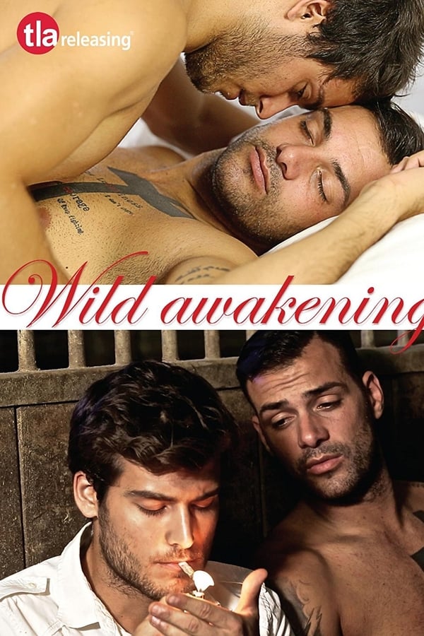 Cover of the movie Wild Awakening