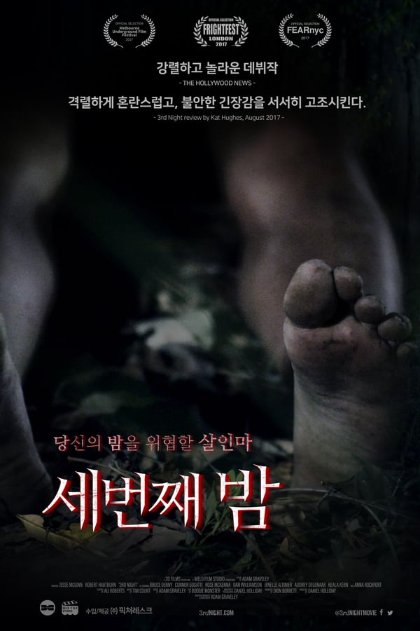 Cover of the movie 3rd Night