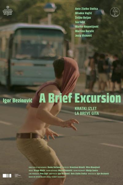 Cover of the movie A Brief Excursion