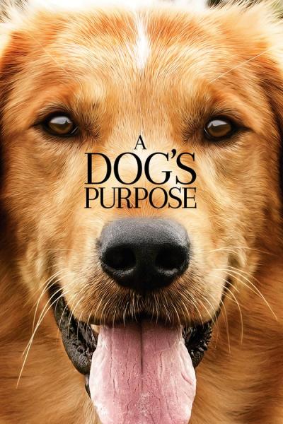 Cover of A Dog's Purpose
