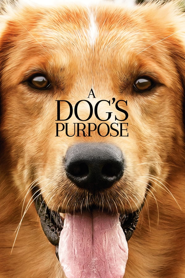 Cover of the movie A Dog's Purpose