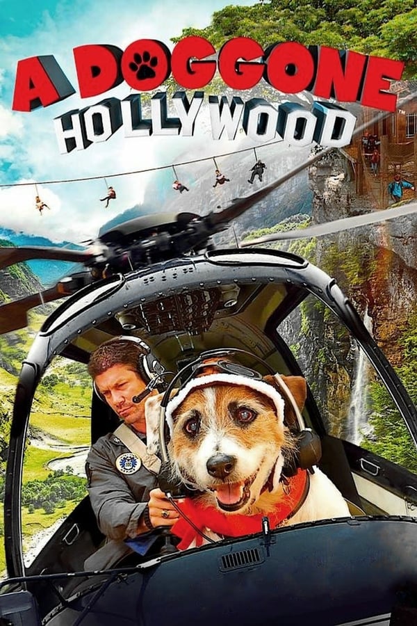 Cover of the movie A Doggone Hollywood