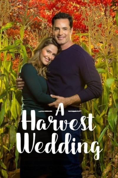 Cover of A Harvest Wedding