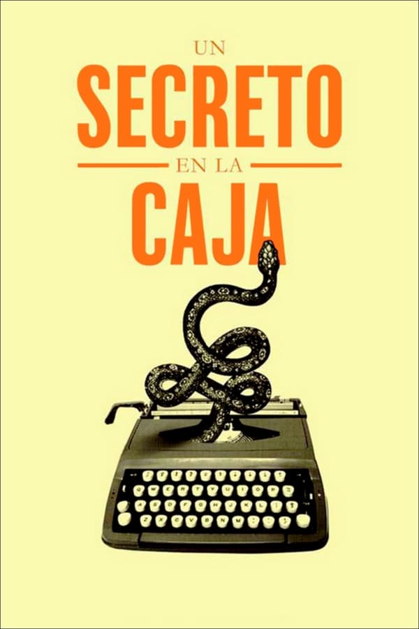 Cover of the movie A Secret in the Box