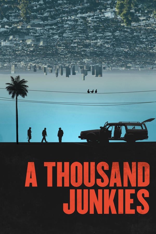 Cover of the movie A Thousand Junkies