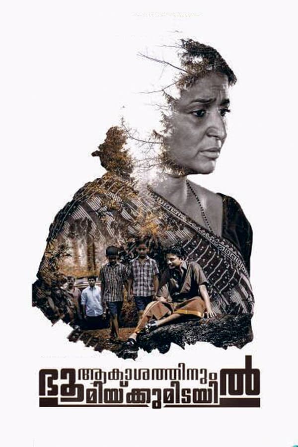 Cover of the movie Aakashathinum Bhoomikkumidayil