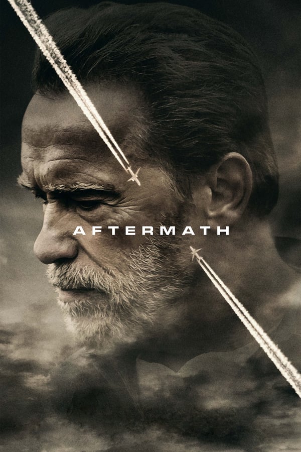 Cover of the movie Aftermath