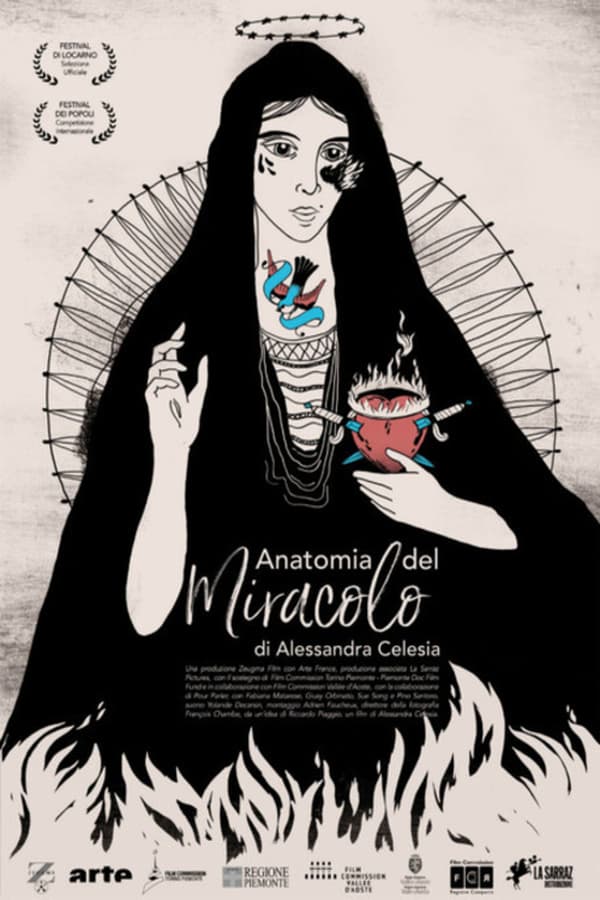 Cover of the movie Anatomia del miracolo