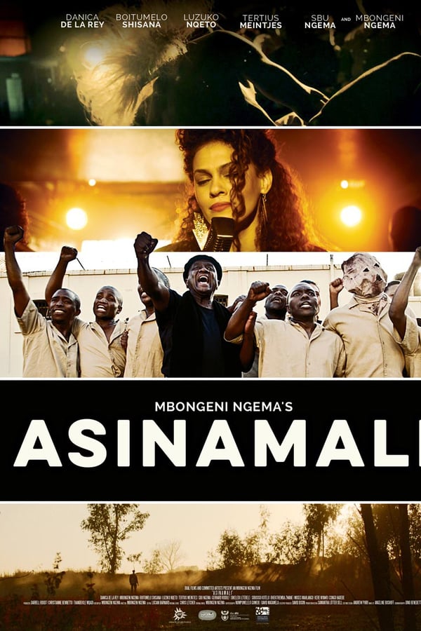 Cover of the movie Asinamali