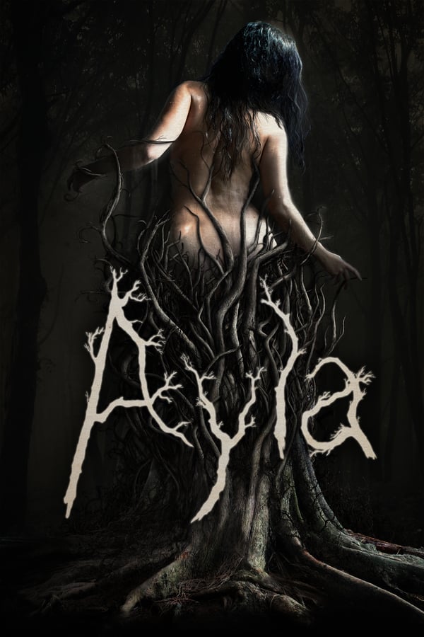 Cover of the movie Ayla