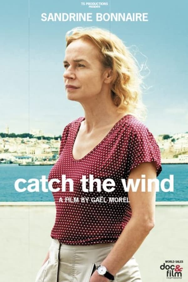Cover of the movie Catch the Wind