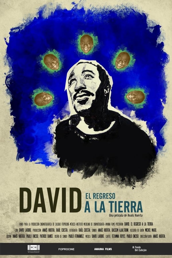 Cover of the movie David. The Return to Land