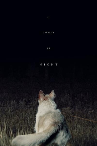 Cover of It Comes at Night