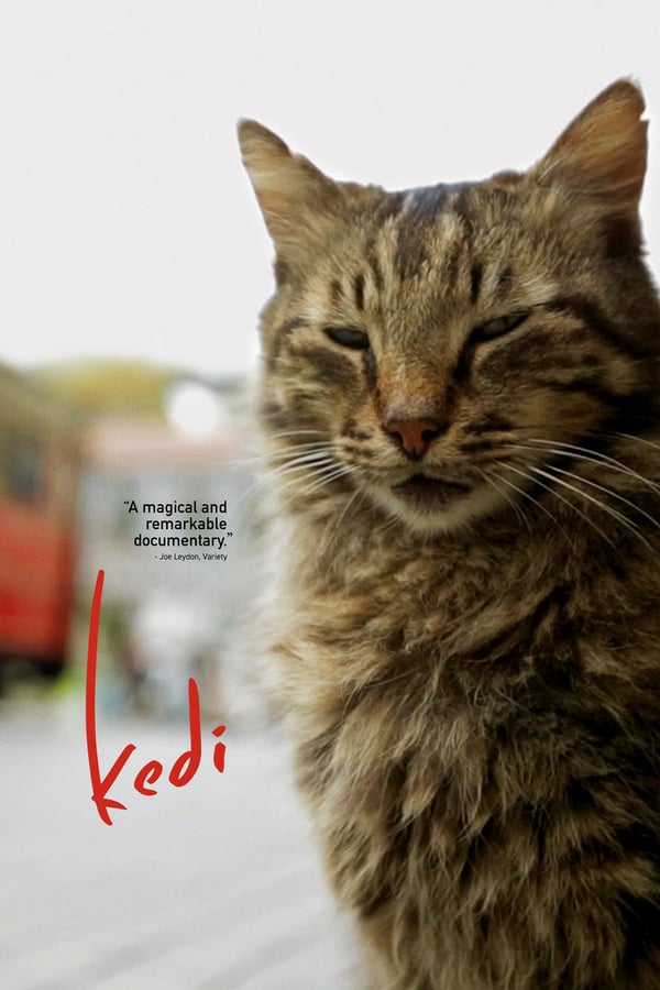 Cover of the movie Kedi