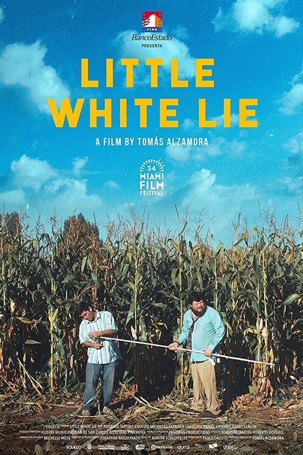 Cover of the movie Little White Lie