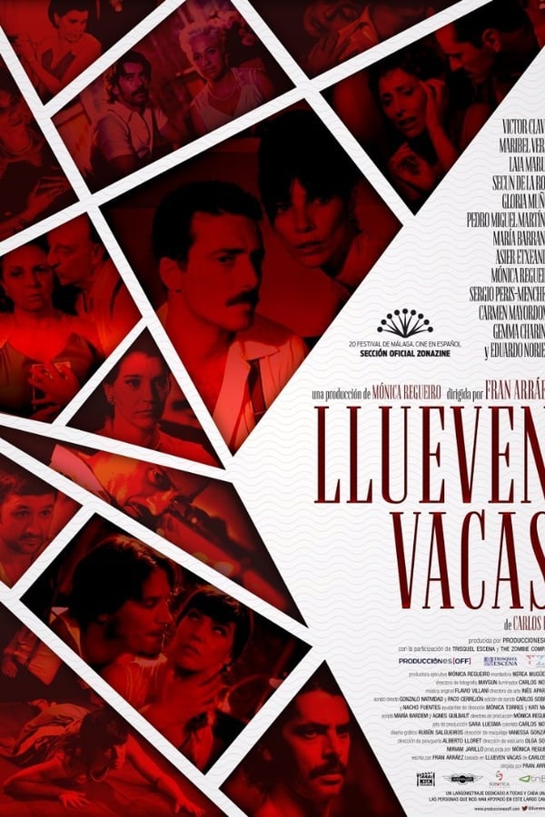 Cover of the movie Llueven vacas
