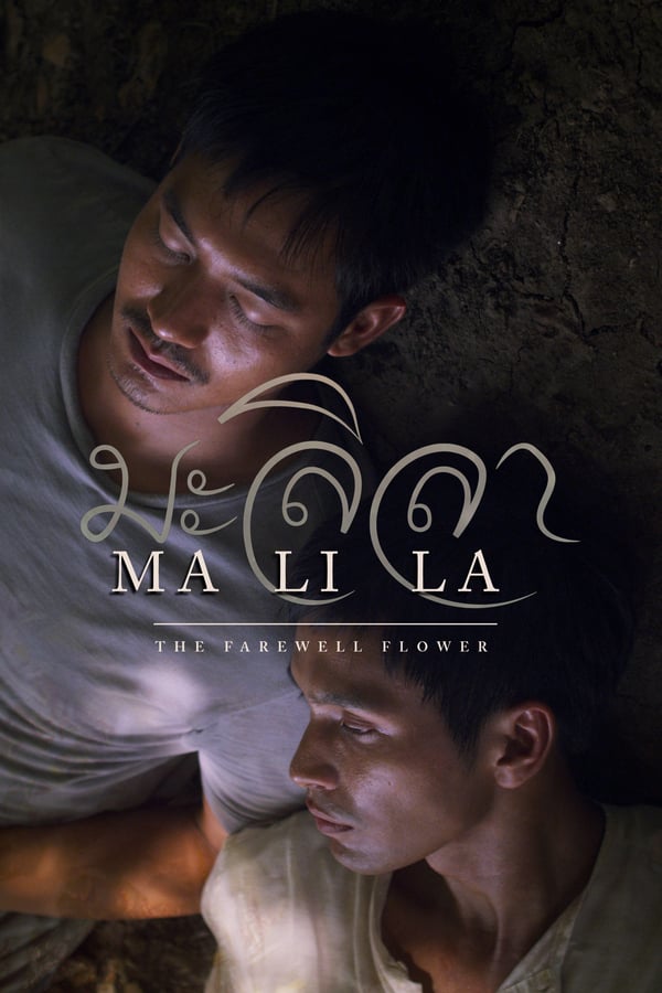 Cover of the movie Malila: The Farewell Flower