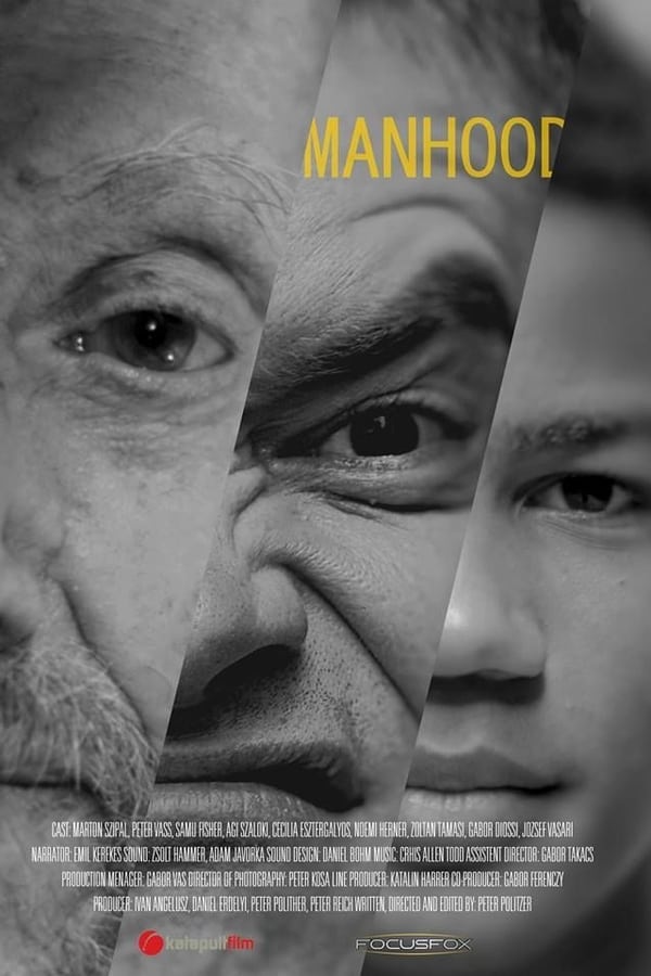 Cover of the movie Manhood