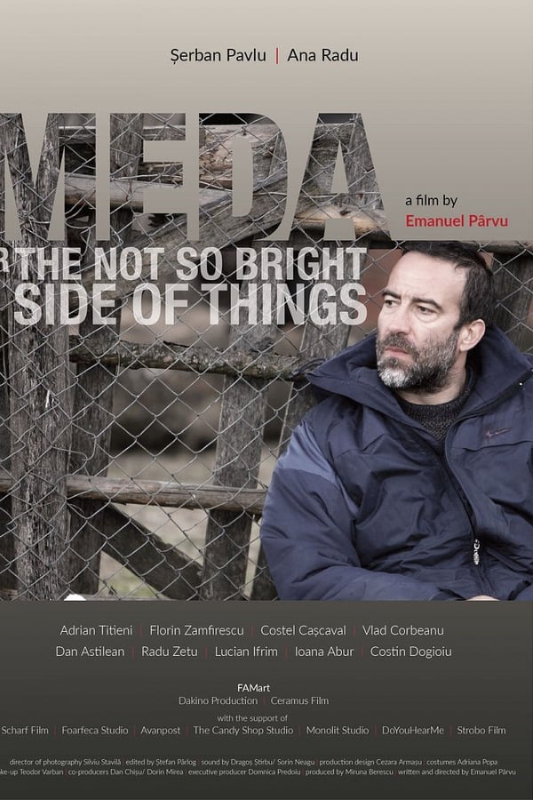 Cover of the movie Meda or The Not So Bright Side of Things