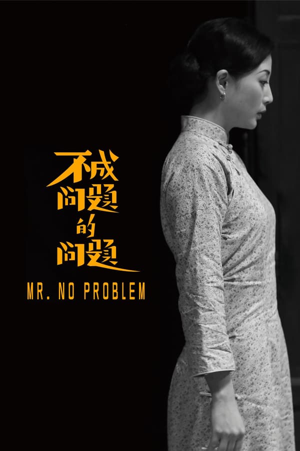 Cover of the movie Mr. No Problem