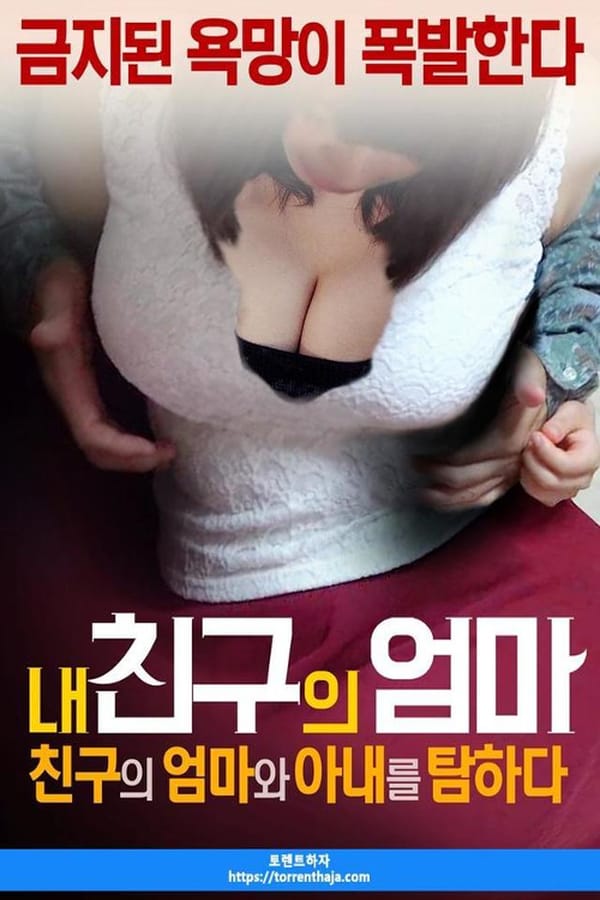 Cover of the movie My friend's mother: I'm looking for a friend's mother and wife