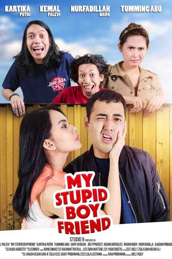 Cover of the movie My Stupid Boyfriend