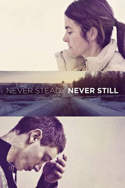 Cover of Never Steady, Never Still