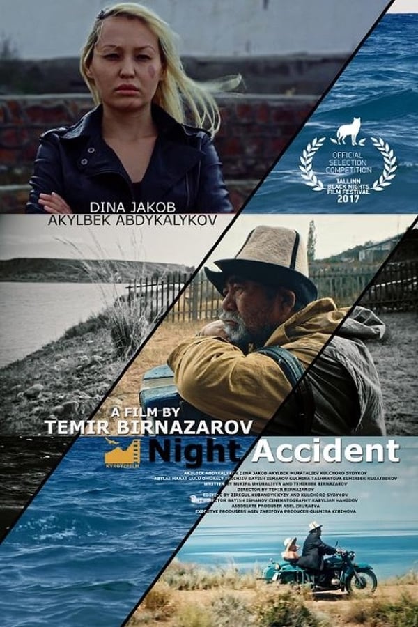 Cover of the movie Night Accident