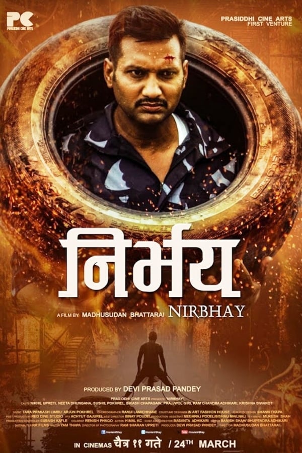 Cover of the movie Nirbhay