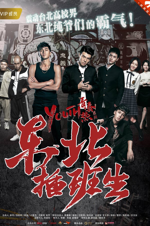 Cover of the movie Northeast Transfer Student