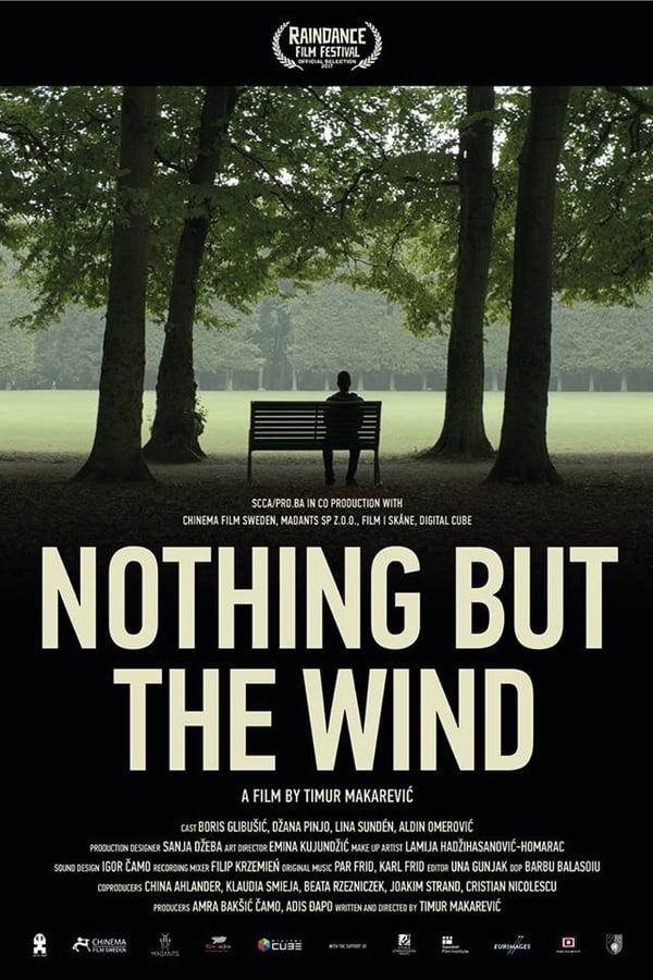 Cover of the movie Nothing But the Wind