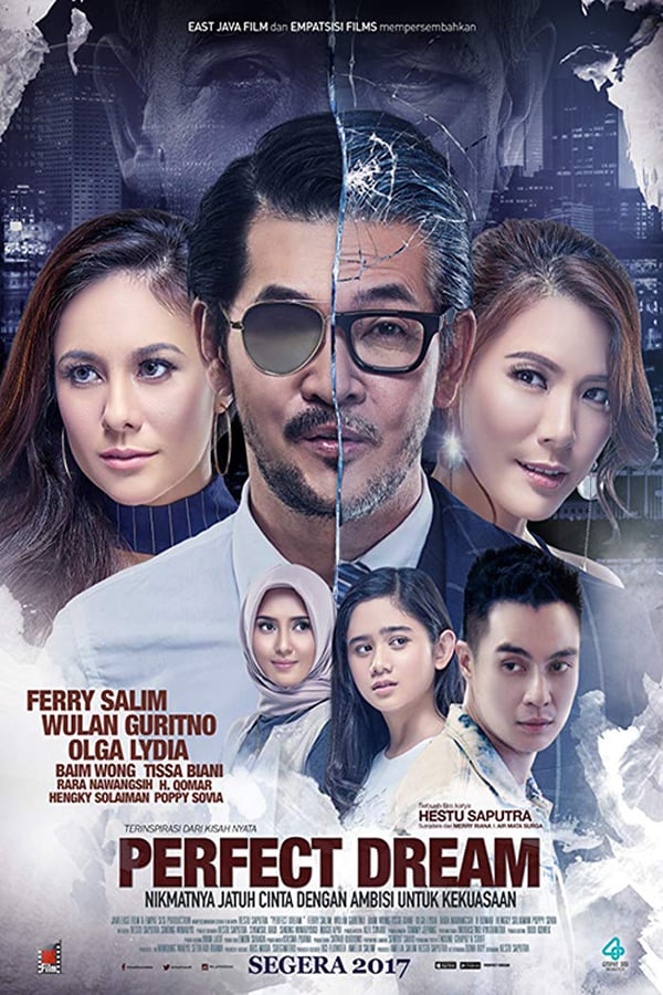 Cover of the movie Perfect Dream