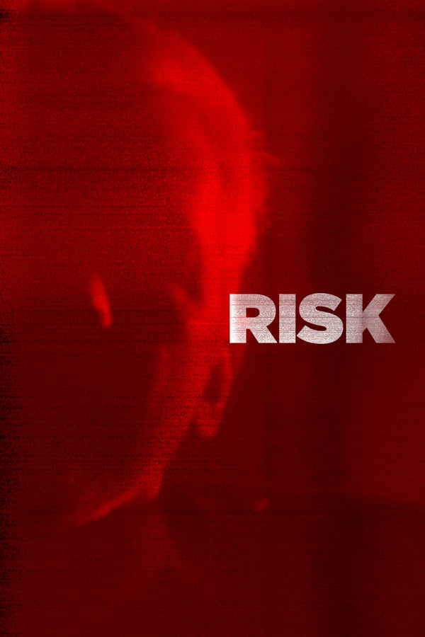 Cover of the movie Risk