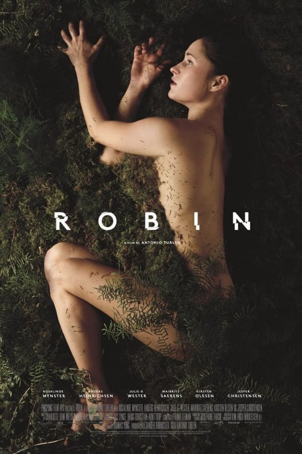 Cover of the movie Robin