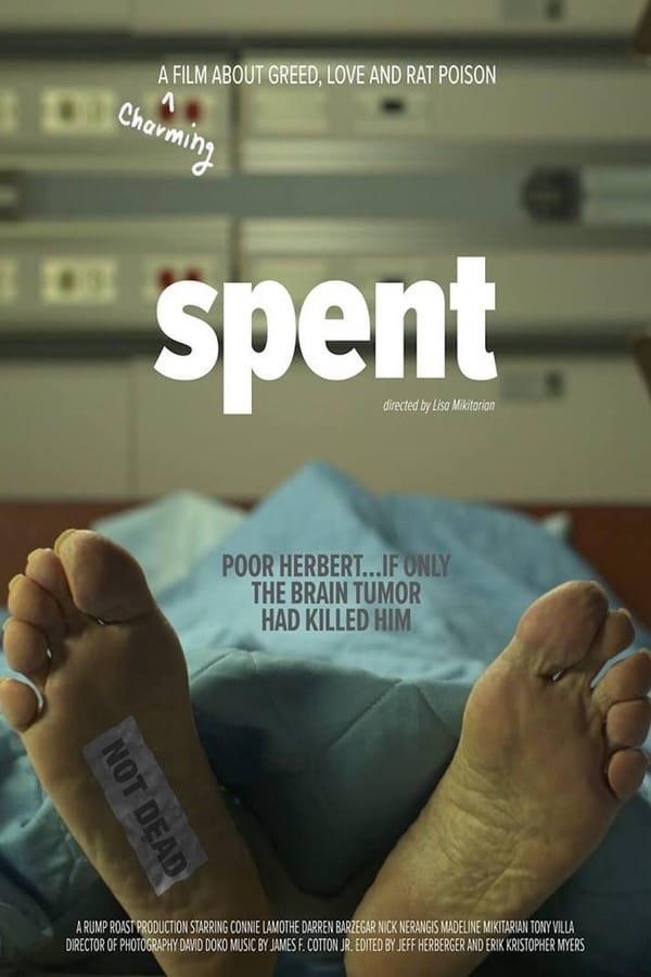 Cover of the movie Spent