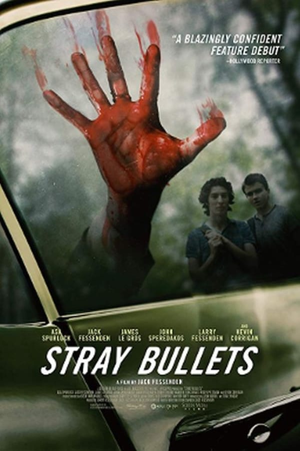 Cover of the movie Stray Bullets