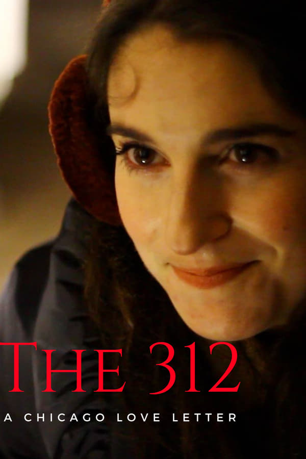 Cover of the movie The 312