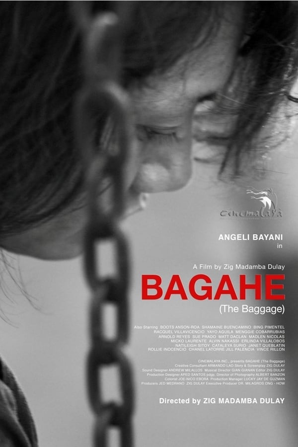 Cover of the movie The Baggage