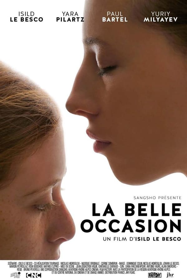 Cover of the movie The Beautiful Occasion