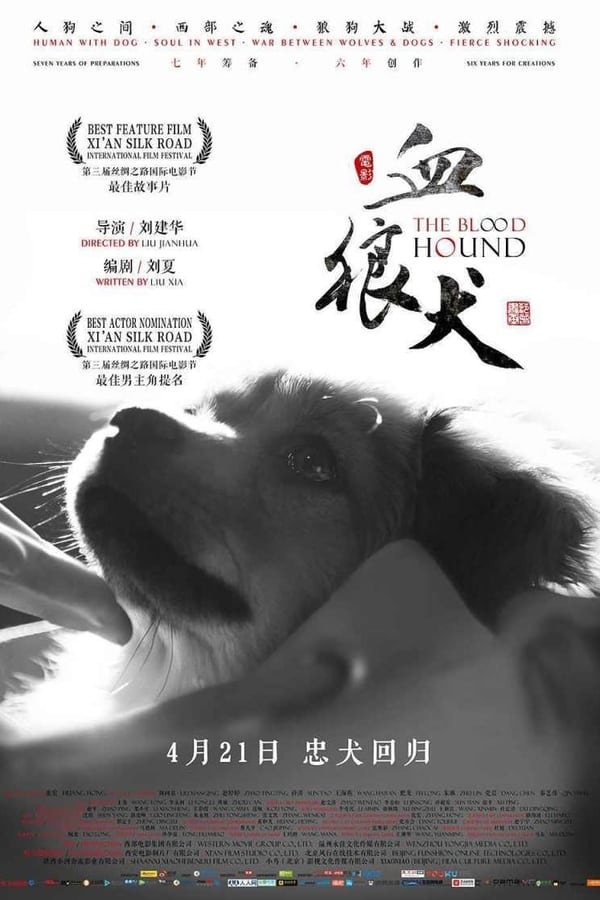 Cover of the movie The Blood Hound