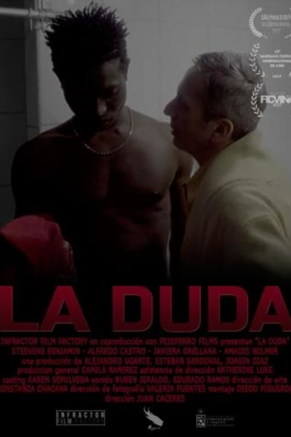 Cover of the movie The Doubt