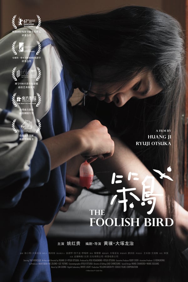 Cover of the movie The Foolish Bird