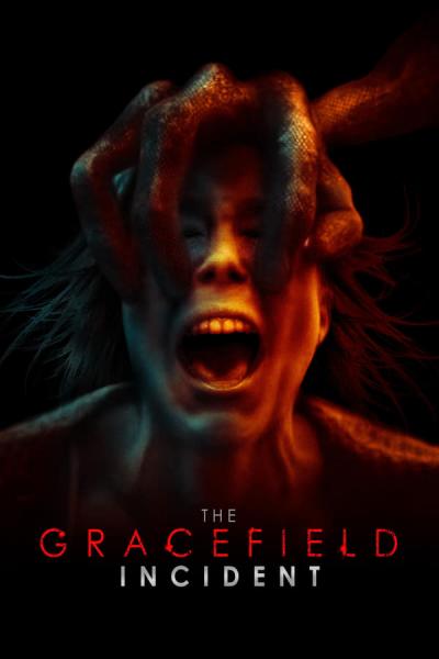 Cover of The Gracefield Incident