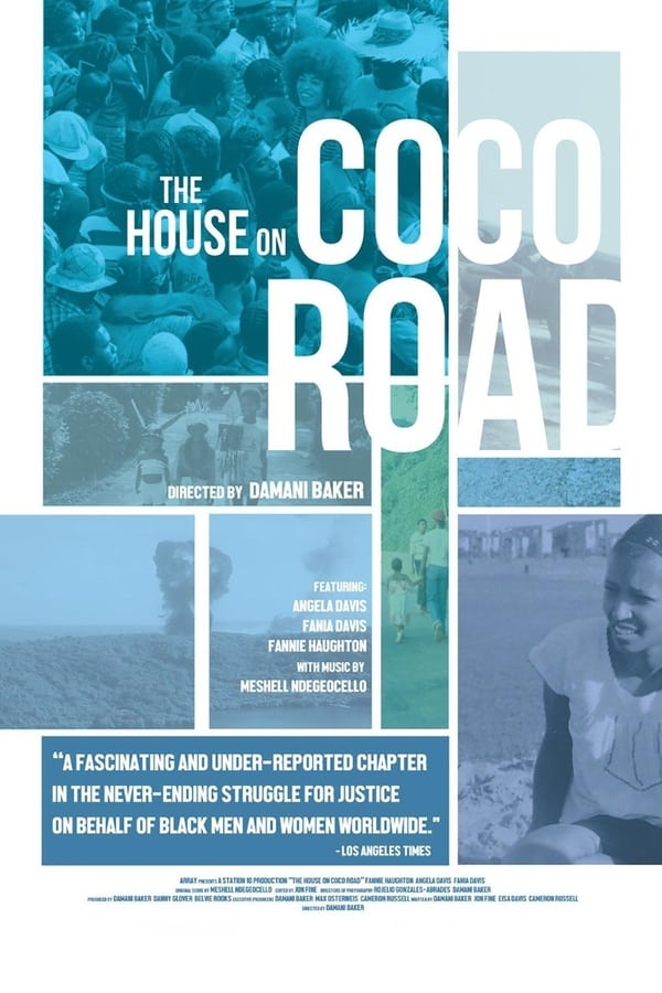 Cover of the movie The House on Coco Road