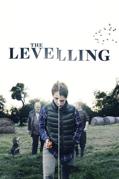 Cover of The Levelling